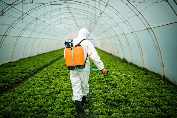 Best Best Pest Control Companies  in Coto De Za, CA