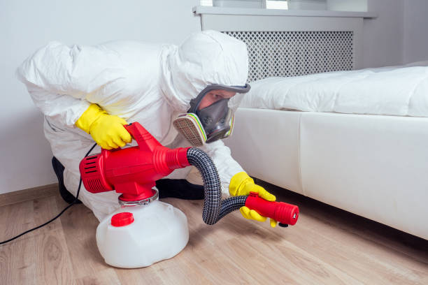 Best Pest Inspection Near Me  in Coto De Za, CA