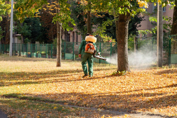 Best Wasp Removal Services  in Coto De Za, CA